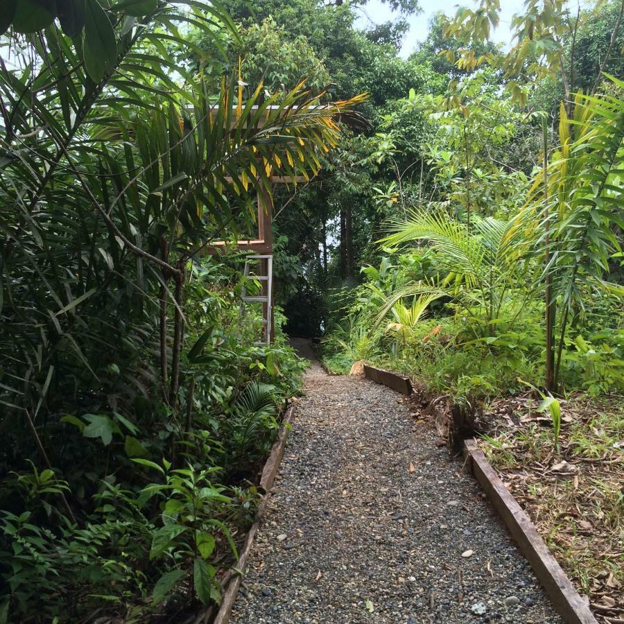 Villa Punta Brava Nuquí Exterior foto